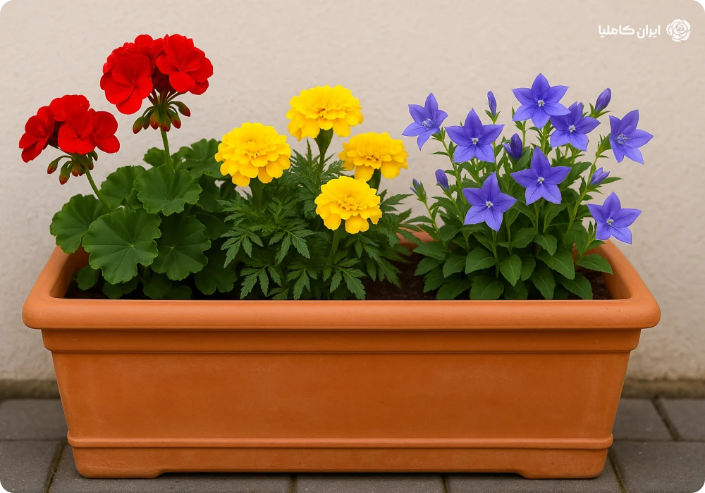 فلاورباکس های پلاستیکی